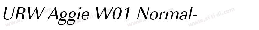 URW Aggie W01 Normal字体转换